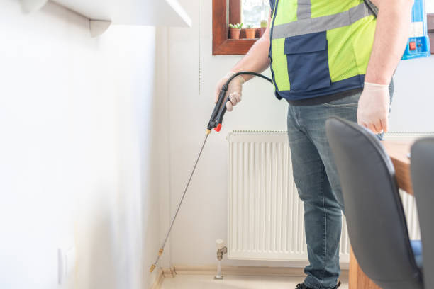 Best Affordable Pest Control Services  in Buckhorn, CA