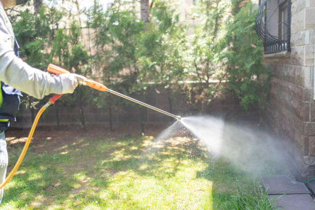 Best Commercial Pest Control Services  in Buckhorn, CA