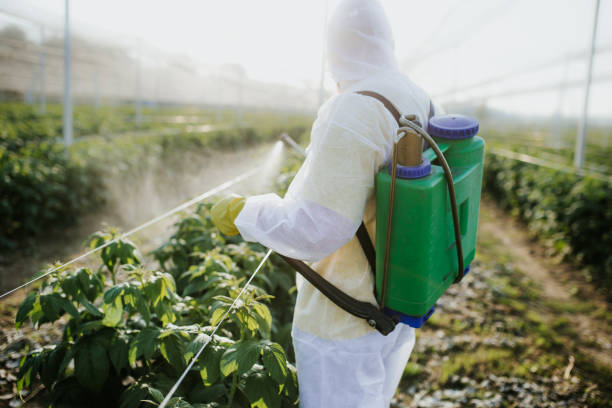 Wildlife Control Services in Buckhorn, CA
